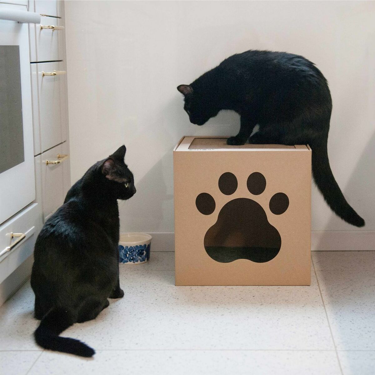 Carton+Pets Krabpaal Voor Katten Carton+Pets Netti Brons Karton 35 X 35 X 35 Cm