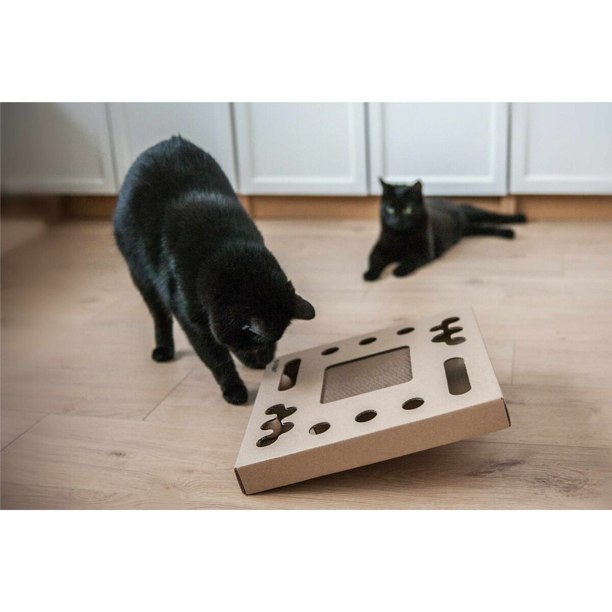 Carton+Pets Krabpaal Voor Katten Carton+Pets Brons Karton 34,5 X 4 X 34,5 Cm