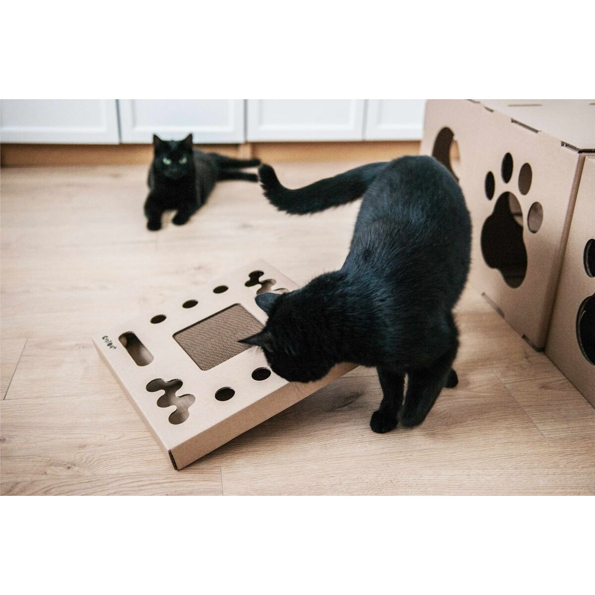 Carton+Pets Krabpaal Voor Katten Carton+Pets Brons Karton 34,5 X 4 X 34,5 Cm