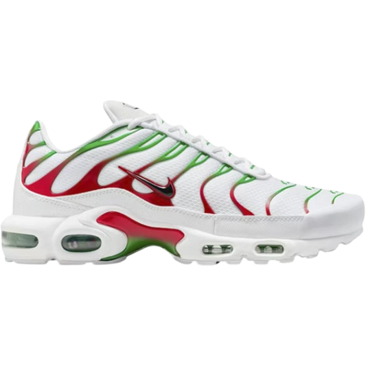 Nike Air Max Plus Italy